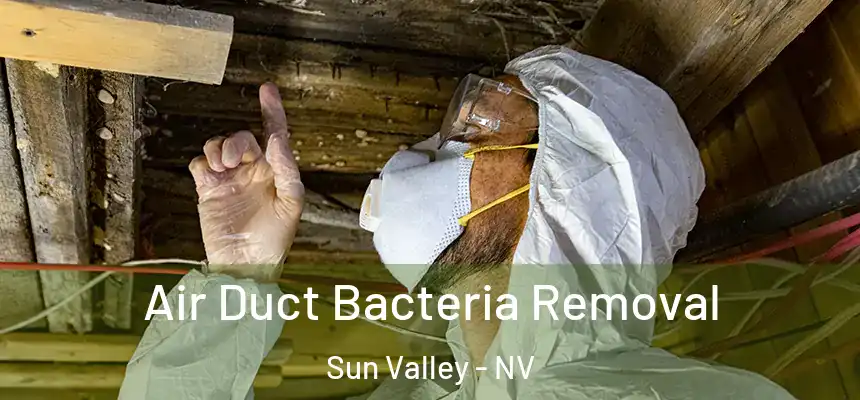 Air Duct Bacteria Removal Sun Valley - NV