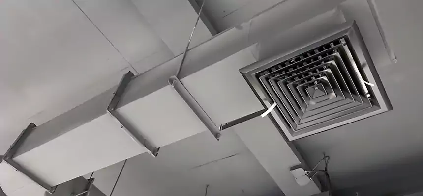 Our Pest Removal From Ducts Services in Sun Valley, NV