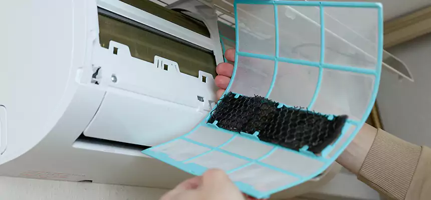 Gentle Ductwork Odor-Control Pet Dander Duct Cleaning in Sun Valley, NV