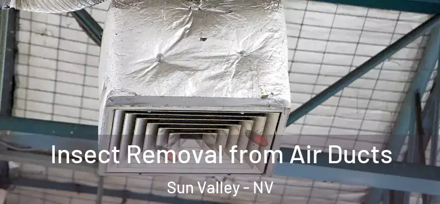  Insect Removal from Air Ducts Sun Valley - NV