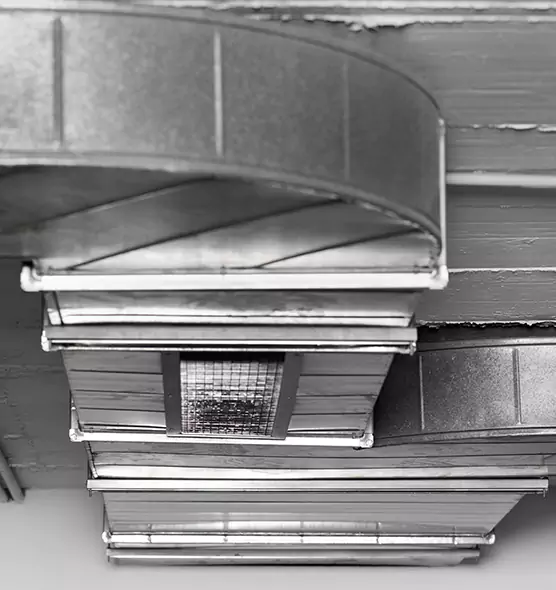 Professional Air Duct Pet Hair Removal in Sun Valley, NV