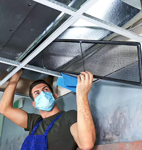 Professional Air Duct Pollen Cleaning in Sun Valley, NV