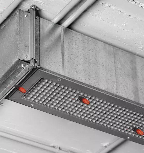 Affordable Insect Removal from Air Ducts in Sun Valley, NV