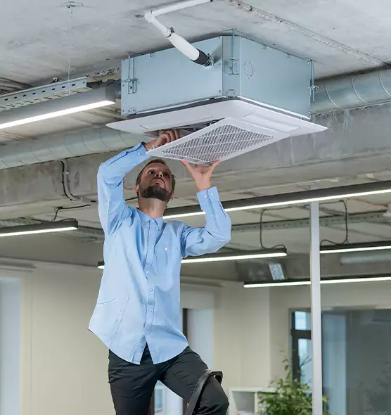 Advanced Rodent Droppings In Vents in Sun Valley, NV
