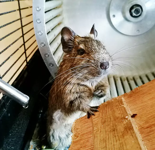 Why Homeowners & Businesses Trust Us Sun Valley, NV?