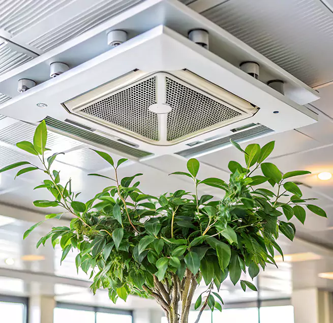 Why Homeowners & Businesses Trust Us in Sun Valley, NV