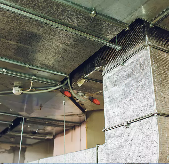 Why Homeowners & Businesses Trust Us Sun Valley, NV?