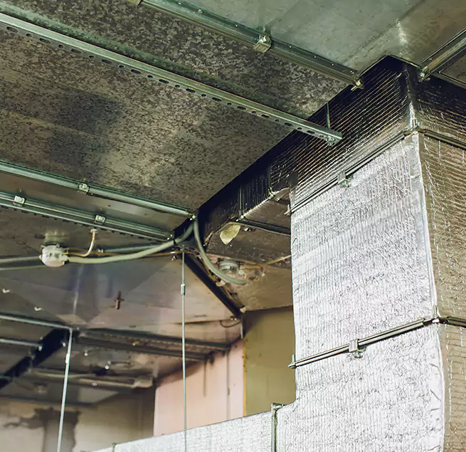 Why Homeowners & Businesses Trust Us in Sun Valley, NV?